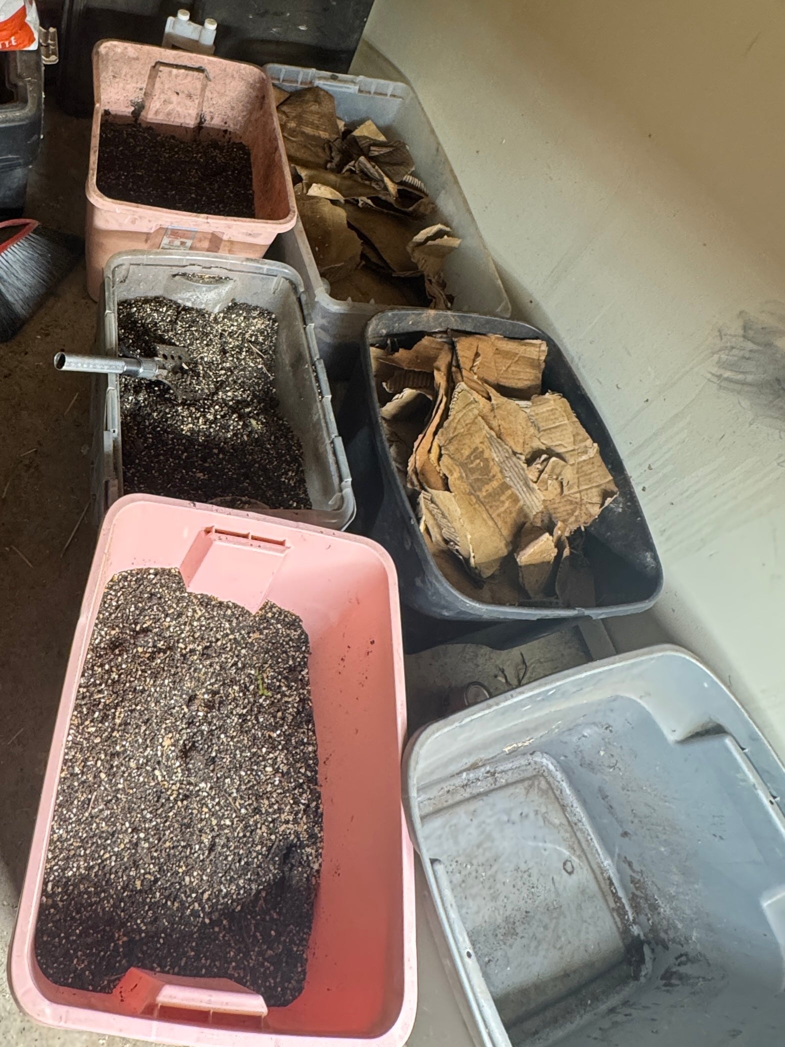 Worm castings 5lb