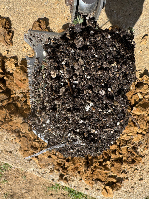 Worm castings 5lb