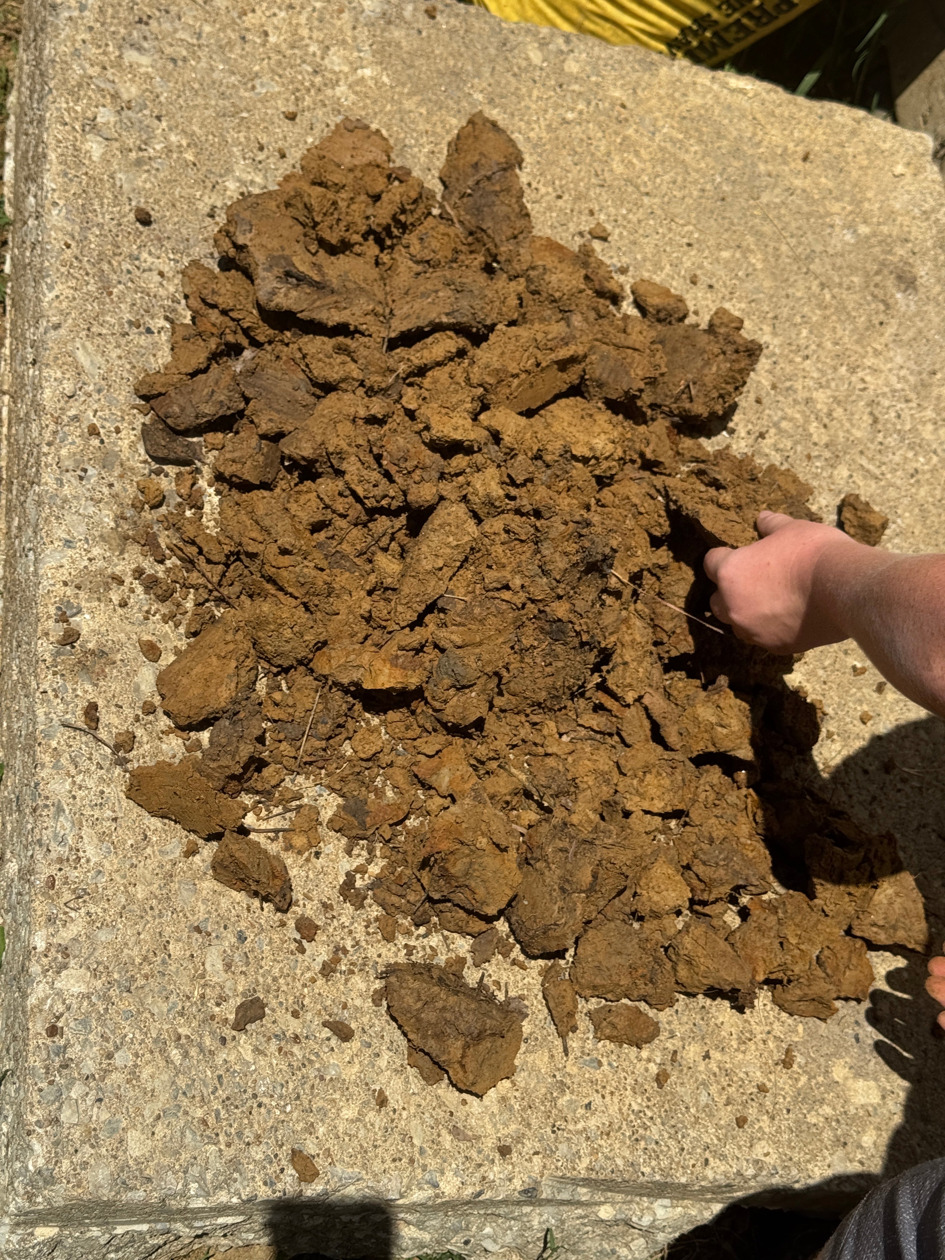 Natural clay for living soil 5lb